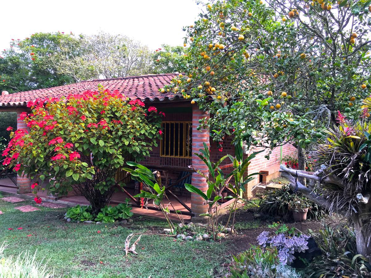 Cabanas La Carolina - Mesa De Los Santos Los Santos  Dış mekan fotoğraf