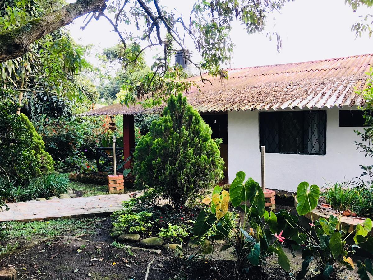 Cabanas La Carolina - Mesa De Los Santos Los Santos  Dış mekan fotoğraf